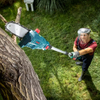 Ronix 8602 20V Cordless Pole Saw High-Performance Telescopic Tree Cutting Solution for Professional And Home Use